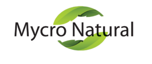 logo principale